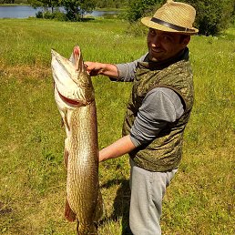 �����, �������, 44 ����