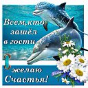 ���� ���� (��������)), ������ - ��������� 12 ������� 2018 � ������ ������ ��������