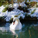 ���� ����, ����� - ��������� 2 ������� 2018 � ������ ���� ����������