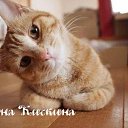 ���� �len., ������� - ��������� 26 ������� 2018 � ������ ���� ����������