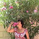 ���� ��������� ��������, ������� - ��������� 12 ������ 2019