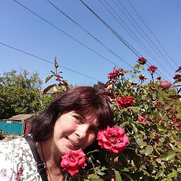 ���� ������, �����, 49 ��� - ��������� 12 ������ 2019