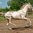 ���� �����, ������ �������� - ��������� 20 ������� 2018 � ������ �������