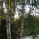  , , 75  -  6  2018    2018