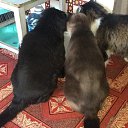 ��� ���� �� ������� �� ������� ���� ����������