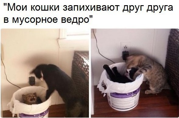  - 14  2019  16:57