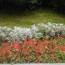  , , 60  -  24  2018   , &quot; &quot;,24.08.18. 