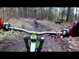 ЖУТКОЕ ВИДЕО СНЯТОЕ НА КАМЕРУ