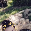 ���� �����, ����-���, 40 ��� - ��������� 1 ������ 2019 � ������ ���� ����������