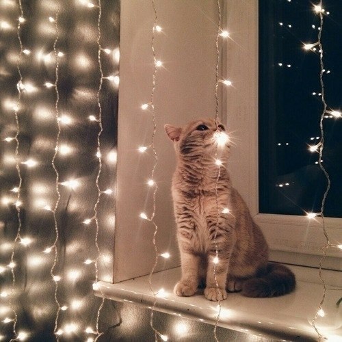  c a  a o: , o  .