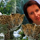 ���� �����, ��������, 47 ��� - ��������� 27 ������ 2019 � ������ ���� ����������