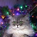 ���� �����, ������ - ��������� 12 ������ 2019 � ������ ������ ��������