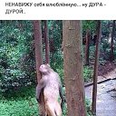 ���� El, ������ - ��������� 6 ������� 2018 � ������ ���������...�