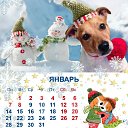 ���� �����, ������, 63 ���� - ��������� 3 ������ 2019 � ������ ������ ��������