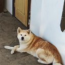 ���� ������, �����������, 57 ��� - ��������� 10 ����� 2019 � ������ ���� ����������