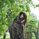 ���� Aru, �������� - ��������� 16 ������� 2018 � ������ �GURUVAYUR, KERALA, INDIA�