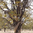  ••,  -  13  2018   - ))