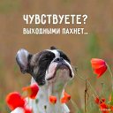 ���� Elena, ������������, 54 ���� - ��������� 15 ������� 2018 � ������ ���� ����������