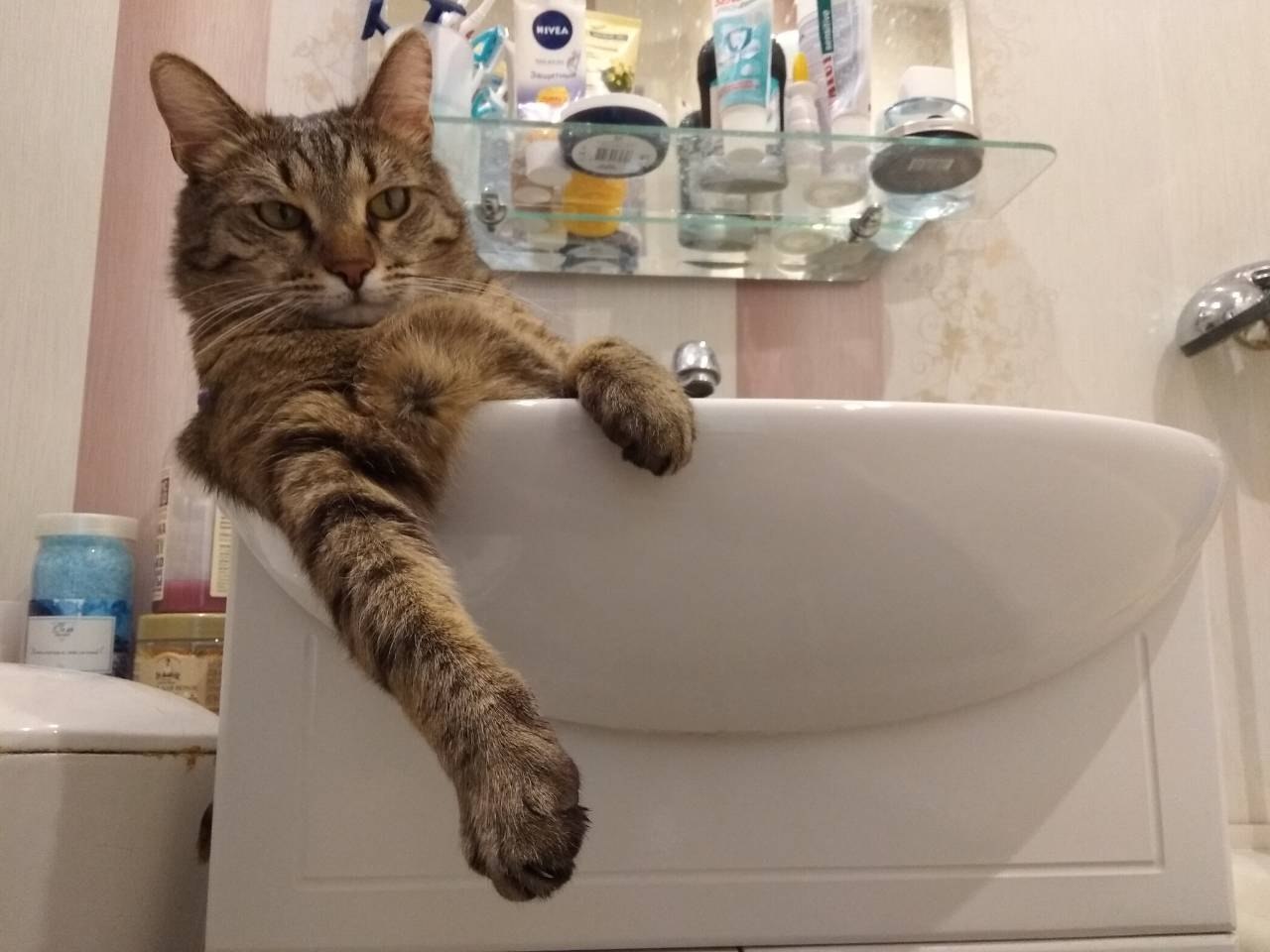 ������� ��� ������ ����������....