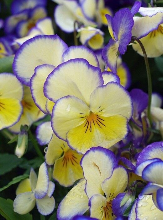  ! - 4  2018  19:55 - 6