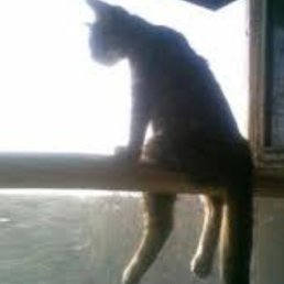 ����, ����, 29 ���