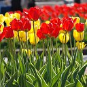 ���� ��������, ������, 78 ��� - ��������� 22 ������� 2018 � ������ ���������������������Ż