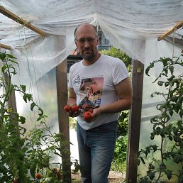 �������, �����-���������, 50 ���