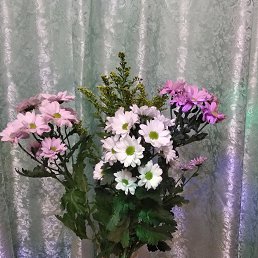 Nina, ����������