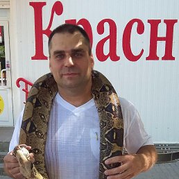 ������, ������������, 53 ����