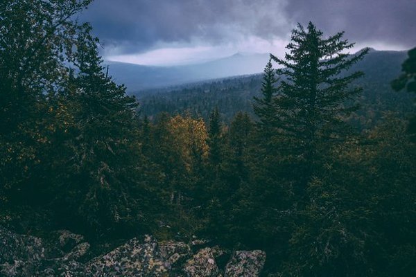 Учёные пришли к выводу, что природа Урала лучшее место чтобы подумать о том, куда катится ваша ... - 8