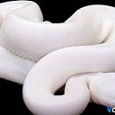 ���� �����, �������, 55 ��� - ��������� 4 ������� 2018 � ������ ���� ����������