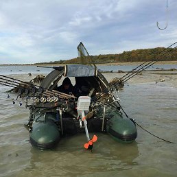 ������� ��������, �������, 36 ���