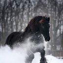 ���� ������, �����������, 52 ���� - ��������� 1 ������� 2019 � ������ ���� ����������