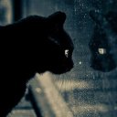 ���� Angelika, ������ - ��������� 24 ������� 2018 � ������ ���� ����������