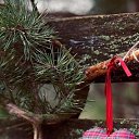 ���� Naida, ����� - ��������� 9 ������� 2018 � ������ ������ ��������