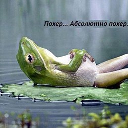 ������, ���������� �����