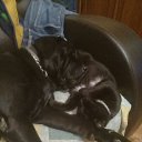 ����� ���..������� ���������...