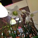 ���� �����, �����-��������� - ��������� 12 ����� 2019 � ������ ������ �����..... � ������� !!!....�