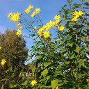 ���� �������, ���������, 66 ��� - ��������� 4 ����� 2019 � ������ ���� ����������