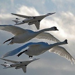 ���� �����, ��������, 73 ���� - ��������� 7 ������ 2019