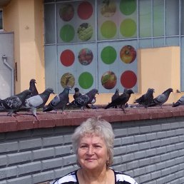 ���� �����, ����-�������, 77 ��� - ��������� 28 ������� 2018