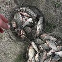 ���� ���������, ������ ��������, 49 ��� - ��������� 25 ���� 2018 � ������ ���� ����������