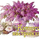 ���� Sabuhi, ����, 44 ���� - ��������� 24 ������ 2019 � ������ ���� ����������