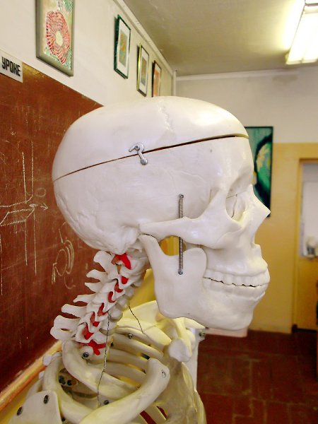 Знакомьтесь, Иван Иваныч. Бывший лаборант по дисциплине "Скульптура и пластическая ... - 3