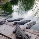 ���� �����, ��������, 59 ��� - ��������� 31 ������� 2018 � ������ ���� ����������