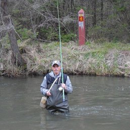 ������, ����������, 44 ����