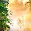  , -, 79  -  21  2018   