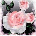 ���� �������, �����-���������, 45 ��� - ��������� 15 ����� 2019 � ������ ������ ��������