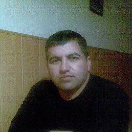 Ziko, �����������, 52 ����