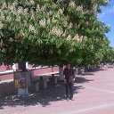  Evgeny, , 54  -  6  2018    